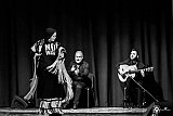 Gala di Danza Spagnola gallery