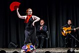 Gala di Danza Spagnola gallery