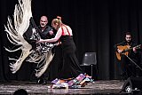 Gala di Danza Spagnola gallery