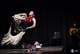 Gala di Danza Spagnola gallery