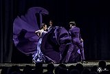 Gala di Danza Spagnola gallery