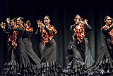 Gala di Danza Spagnola gallery