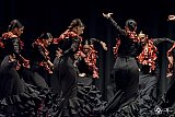 Gala di Danza Spagnola gallery