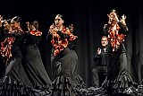 Gala di Danza Spagnola gallery