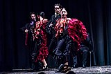 Gala di Danza Spagnola gallery
