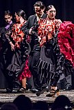 Gala di Danza Spagnola gallery
