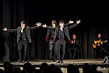 Gala di Danza Spagnola gallery