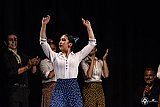 Gala di Danza Spagnola gallery