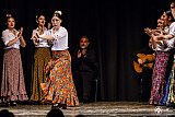 Gala di Danza Spagnola gallery